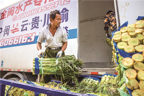 必搏体育·(中国)官方网站千帆竞发势如虹——江华经济社会发展迈出新步伐(图2)